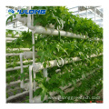 Agricultural Greenhouse Soiless Cultivation System for Sale